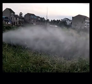 Súng phun Thái Lan áp lực caodài 60cm chuyên phun sầu riêng bơ các loại cây cao phun xa đến 15m.