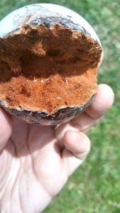 金发晶开口笑 Rare Rutilated Golden Quartz Laughing 65mm Sphere