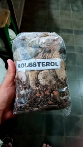 Jamu godok - jamu kolesterol - membantu menurunkan kolesterol tinggi - jamu tradisional manjur