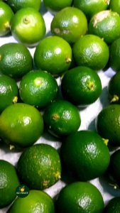 1kg jeruk sonkit (ukuran sedang & besar) kasturi/kalamani/kunci/lemoncui