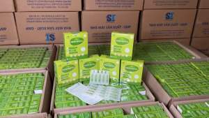 Bộ đôi ăn ngon tiêu hóa khỏe Lysine-Grenbiotics