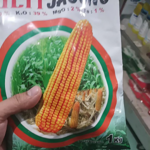 MULTI JAGUNG | pupuk majemuk NK untuk tanaman jagung  sayuran dan buah-buahan