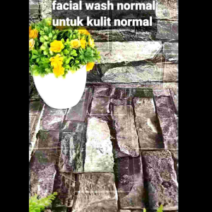 Facial Wash Theraskin Lengkap
