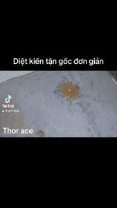 CHAI DIỆT KIẾN THẦN THÁNH 10ml Thuốc Diệt Kiến Dạng Lỏng Sản Phẩm Diệt Kiến An Toàn Tiện Lợi Cho Người Sử Dụng Hiệu Quả Diệt Kiến Nhanh Chóng - Lazada