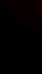 JIMS HONEY DOMPET LIPAT WANITA LOVELY WALLET