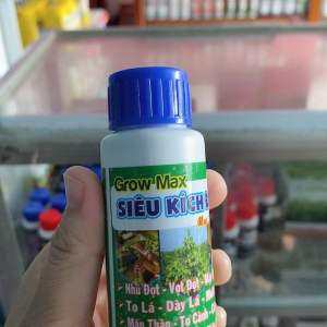 Kích đọt xanh lá mập lá bung chồi tượt cho mai vàng 50ml