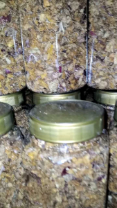 Bawang Merah Goreng Toples