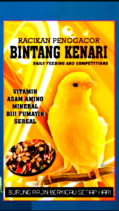pakan racikan burung kenari rajin bunyi berkicau solusi burung mandek cepat gacor