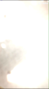 TM 52500 Dress Gaya Annabeth: Belting & Kualitas Impor