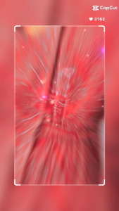 TM 0859 Blouse CNY Blessings hildden button top import