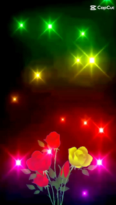 TM 8606 Atasan CNY Briana Bell Sleeve Top Import