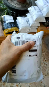 5 Packs Volvariella Spawn (Kabuteng Saging Binhi): A Comprehensive Guide to Organic Mushroom Spawn