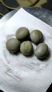 Koleksi buah bambu asli stok terbatas