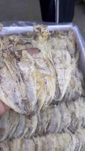 ปลาหมึกผ่าA5ปลาหมึกผ่าเอ5หมึกรสชาติไม่ค่อยเค็มขนาด500กรัม