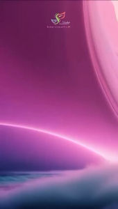 Special 48 hours only Bundle ! 1 CBS Deluxe + 1 Cbs Night Burn + 1 Korea Rushup