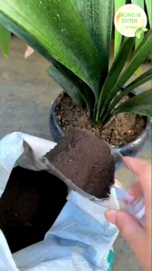 Pupuk Kompos Organik Siap Pakai | Kohe Kambing Fermentasi 1 Kg