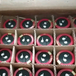 elco rubycon 100v 10000uf usr