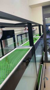 KHAY TÁCH PHÂN CÁ kt:18*13*35(DRC)