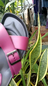 sandal slop silang yumeida untuk wanita dewasa