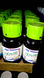 EXPLORE 250 EC 250 ml DGW Fungisida mengendalikan penyakit pada tanaman