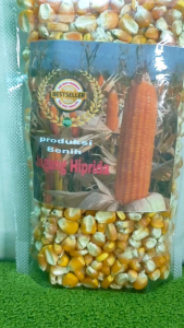BIBIT JAGUNG HIBRIDA MUDAH TUMBUH KEMASAN 1 Kg