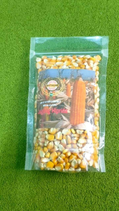 Jual Bibit Benih Jagung Hiprida Berkualitas Per Kantong