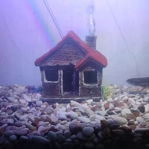 HIASAN AKUARIUM RUMAH KAYU ORNAMEN AQUASCAPE