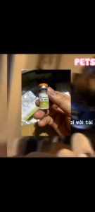 [ Hàng Chính Hãng] DEPO - A 3ml triệt sản chó mèo