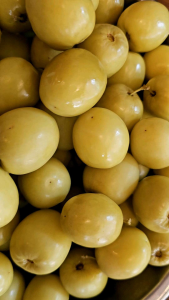 พุทรานมสด ดอง กรอบ อร่อย ฟรีพริกเกลือ