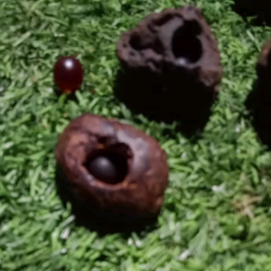 merah delima bulat +cupu tanpa tutup