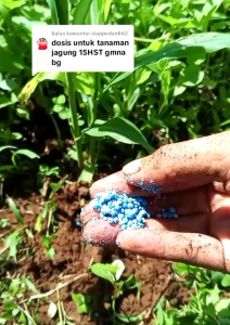 (1kg)Pupuk NPK mutiara REPAK 16-16-16 (penyubur buahbunga&daun) penyubur tanaman