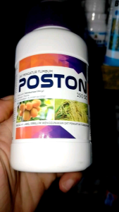 POSTON 250 Ml Zpt paklobutrazol 250sc untuk pembungaan diluar musim pembesar umbi dan bawang
