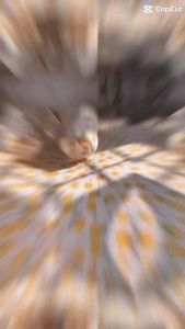 Bộ ga giường thun hàn quốc ga gối thun lạnh 4 món mẫu mã sang trọng