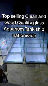 Betta Tank Aquarium 4x6x8