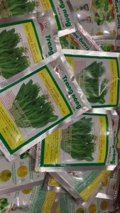 Hạt Giống Cải Ngọt Ăn Bông TN 1103 gói 100g