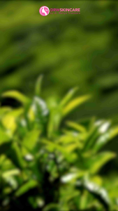 DRW SKINCARE MILK CLEANSER/SUSU PEMBERSIH