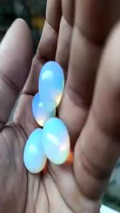 Batu Mustiko Telur Barjat Api