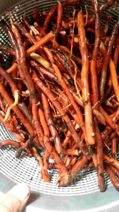 Akar Kelapa Segar 250g Langsung Petik