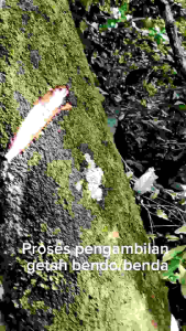 Super Pulut Burung Racikan Getah Asli Anti Meleleh Pemakaian Jangka Panjang