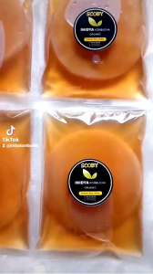 PAKET 6PCS/BUNGKUS JAMUR SCOBY KOMBUCHA Diameter 9cm-12cm
