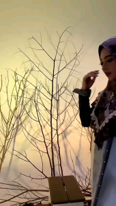 HIJAB KHIMAR MOTIF PARIS BAHAN CERUTY BABYDOLL BY AYYUBY