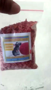 Racun tikus // obat tikus // racun tikus original