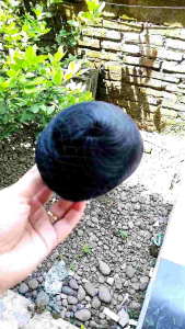 JEPIT KEONG BULAT / KOREAN FUN BUN JEPIT MODERN