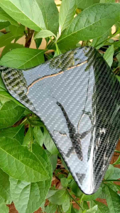 Visor Tameng Beat 2016-2021: Karbon & Kevlar Asli