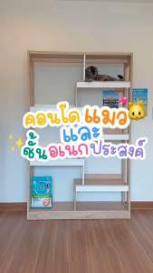 Besta บ้านแมว คอนโดแมว ชั้นวางเอนกประสงค์เดอะเทรนเนอร์ ชั้นวางหนังสือ