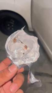 Very Effective DIY Car Care Cockroach Killer For Home Car Lorry Van Pick Up Truck Bus Coach Living Room Factory Retail Shop Pub Etc