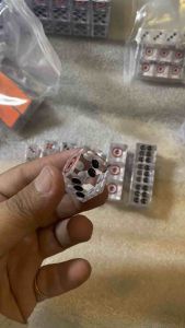 HỘT XÍ NGẦU TRONG SUỐT XỊN SÒ