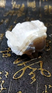 Natural Precious Botswana Agate Crystal Dragon Turtle Carved Ornament DT16