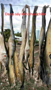 500 da cá sấy khô chưa qua chế biến