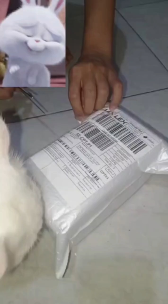 Buyer review video 4